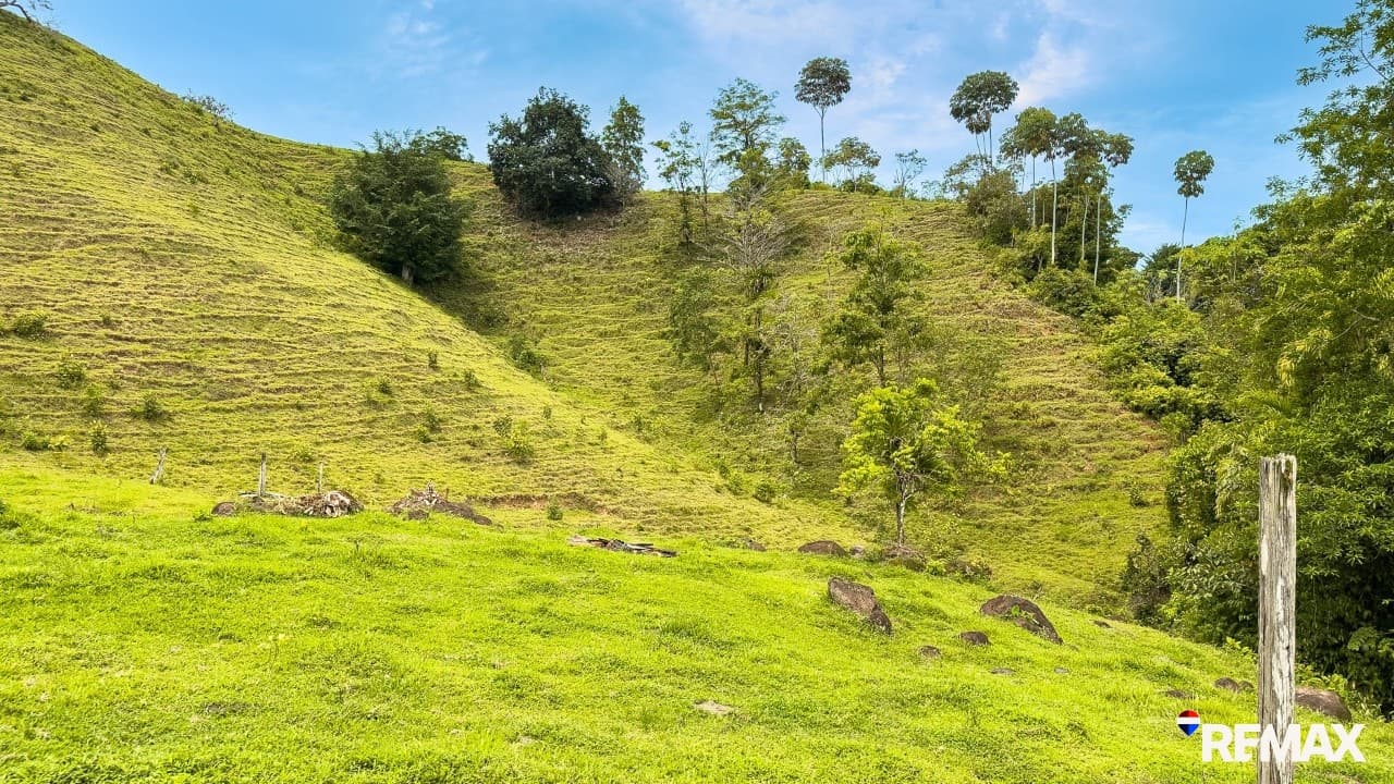 Ocean View Farmland | 80 Acres, Waterfalls, Jungle, photo 14