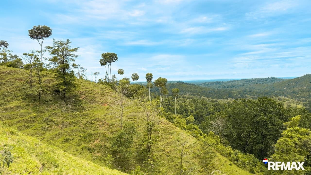 Ocean View Farmland | 80 Acres, Waterfalls, Jungle, photo 17