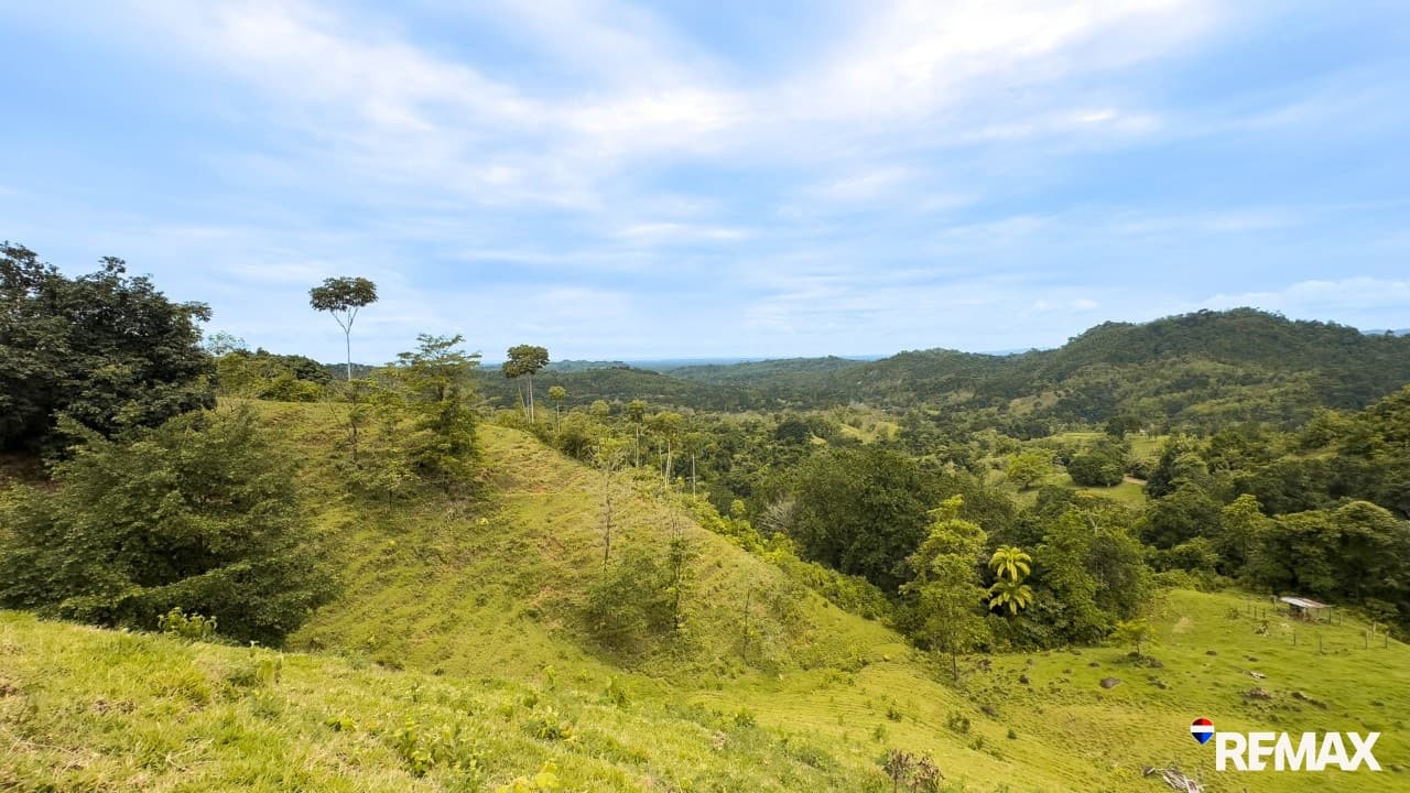 Ocean View Farmland | 80 Acres, Waterfalls, Jungle, photo 19