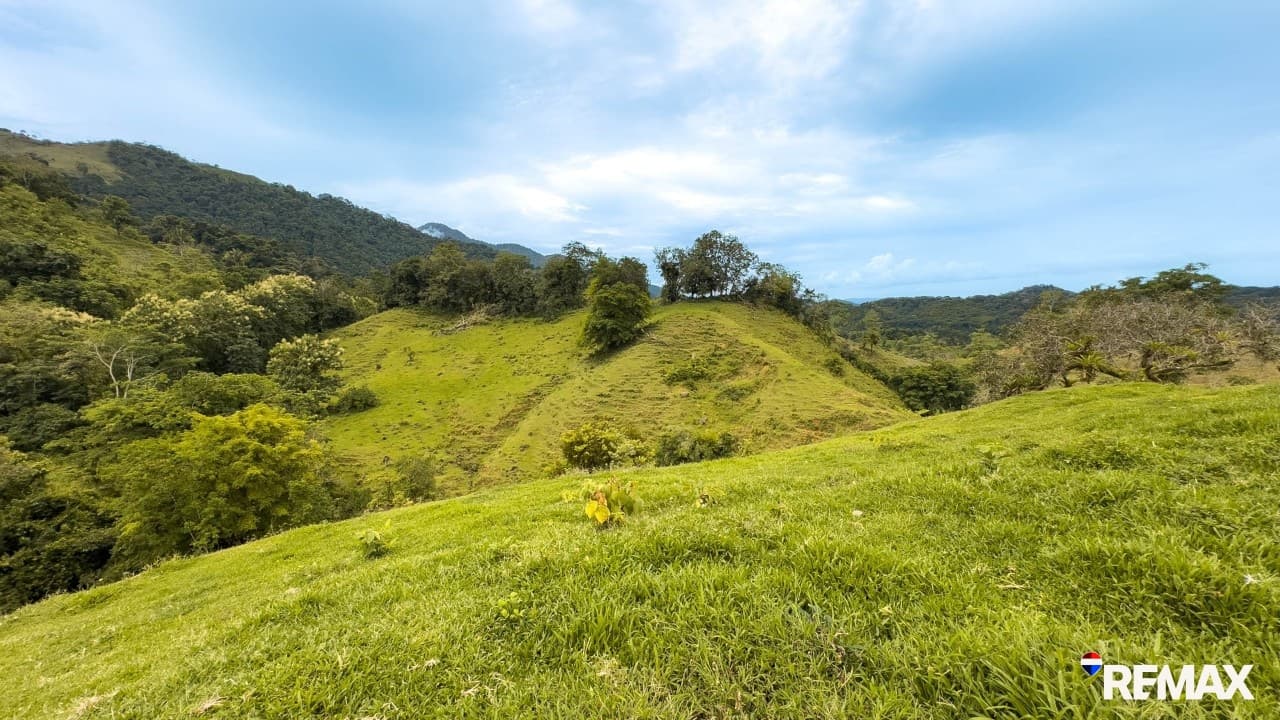 Ocean View Farmland | 80 Acres, Waterfalls, Jungle, photo 20