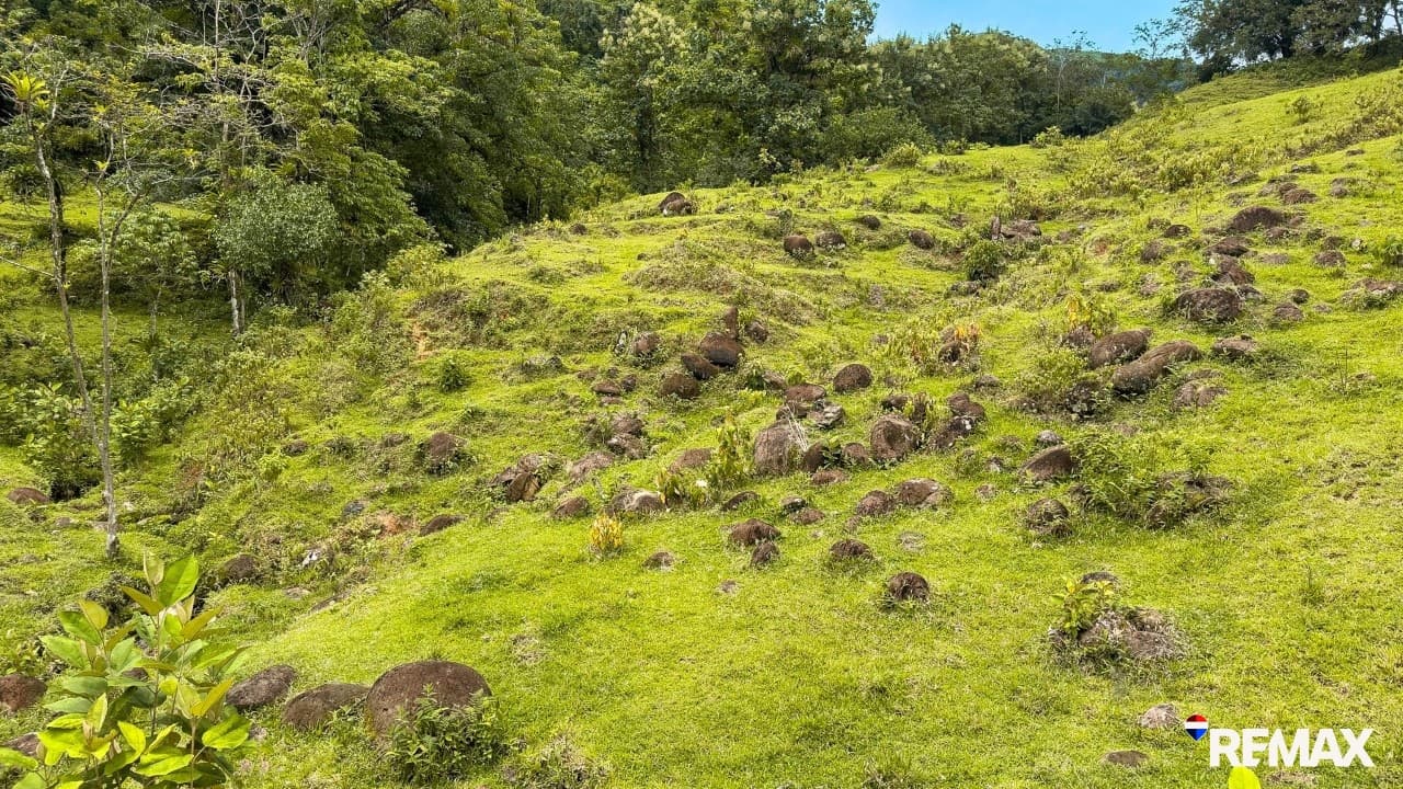 Ocean View Farmland | 80 Acres, Waterfalls, Jungle, photo 23