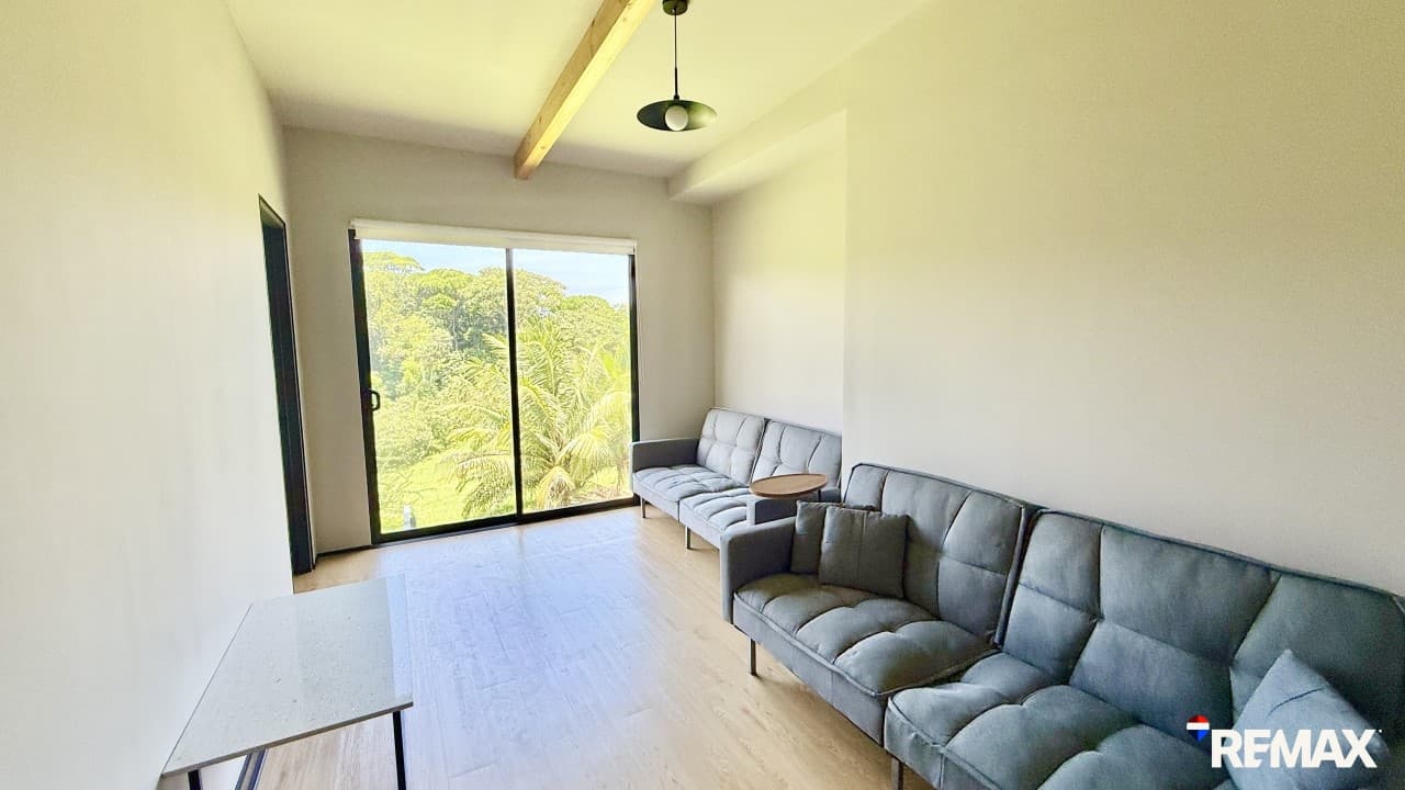 Modern Jungle Retreat, photo 17