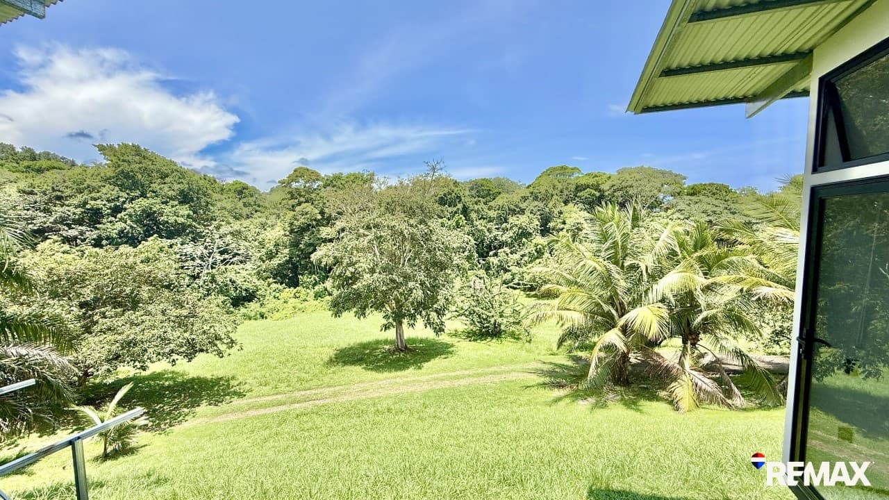 Modern Jungle Retreat, photo 2