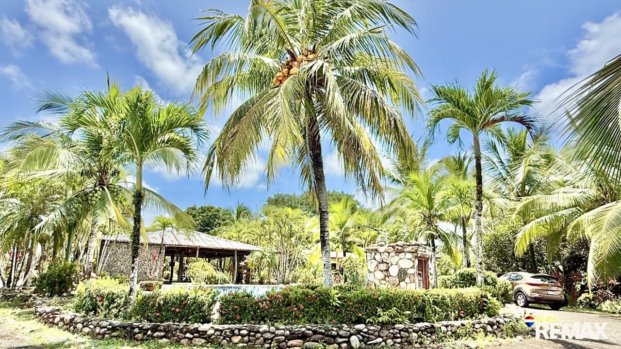 Modern Jungle Retreat, photo 3