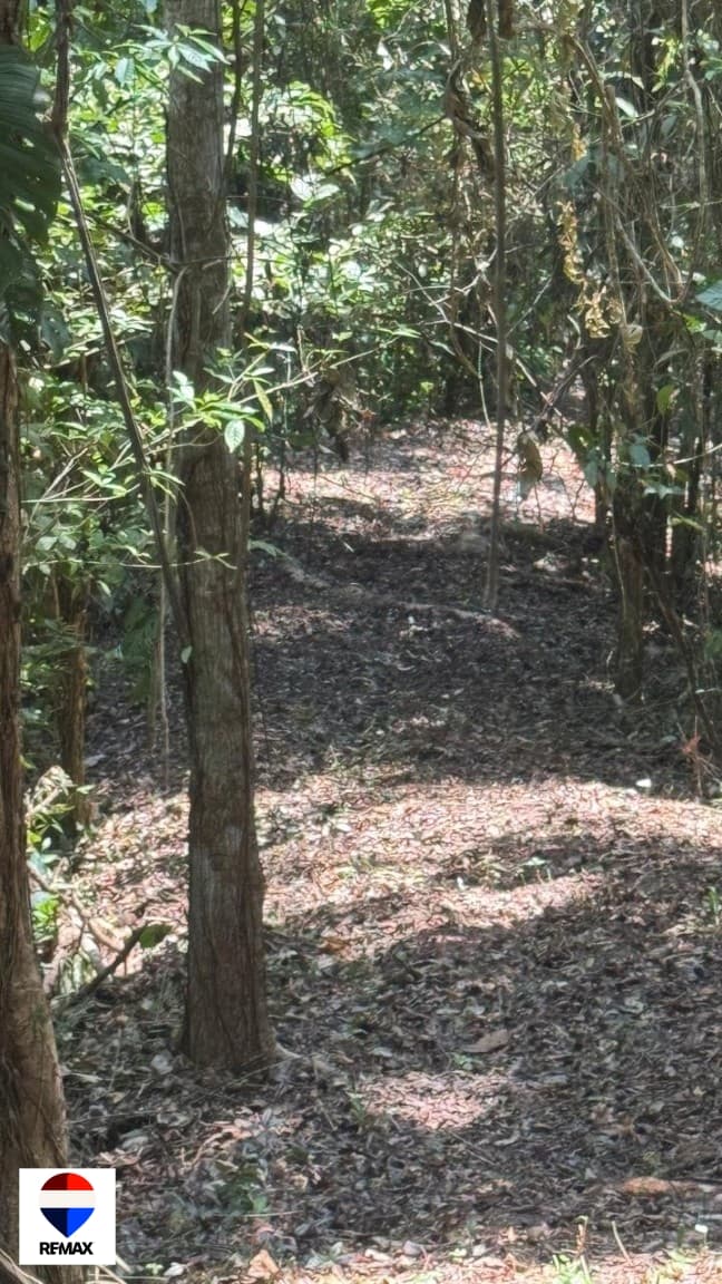 28 Hectares (68.9 Acres) – Prime Ocean View Development Land, photo 23