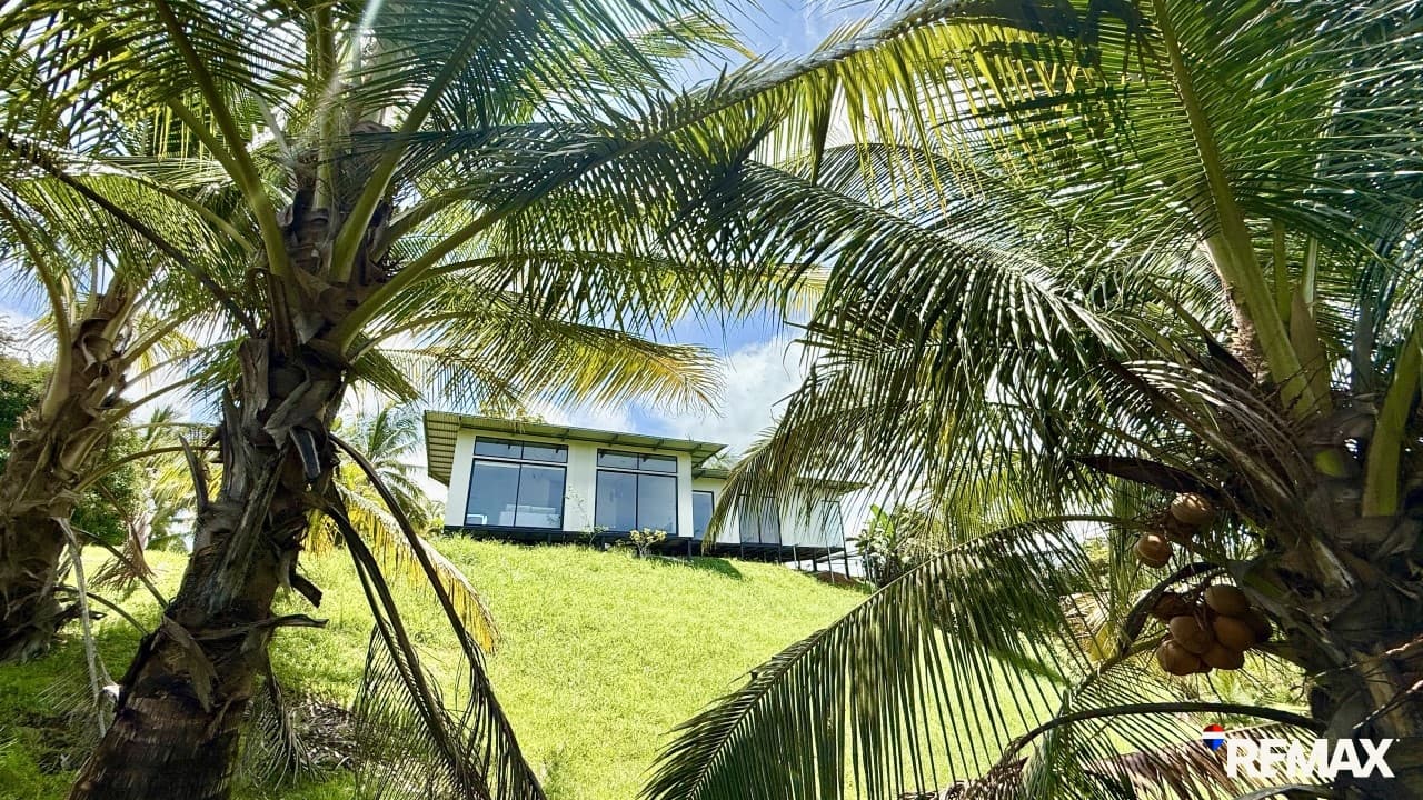 Modern Jungle Retreat, photo 5