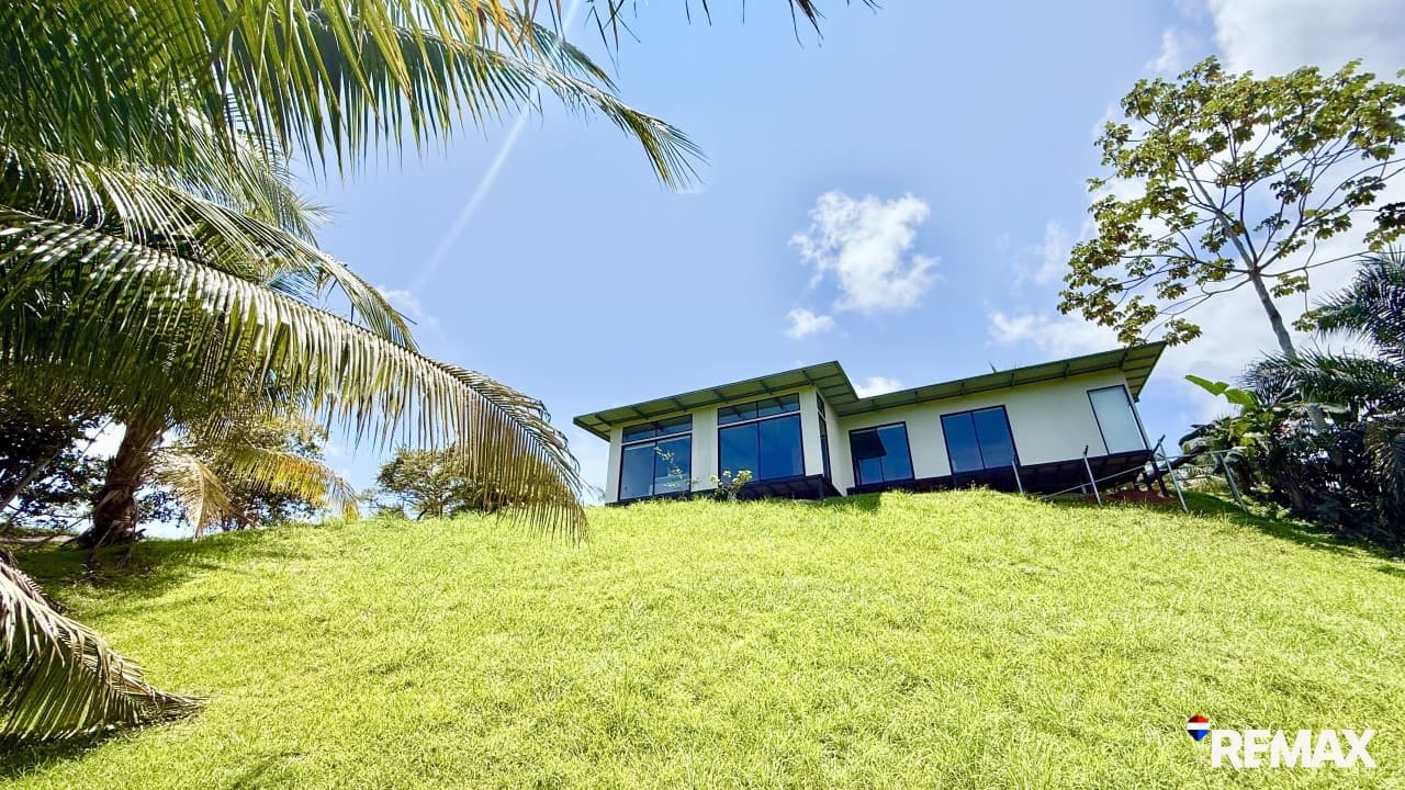 Modern Jungle Retreat, photo 6