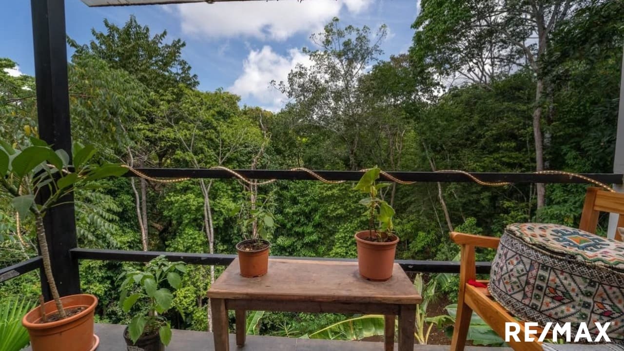 Oceanview Multi-Home Property, photo 20