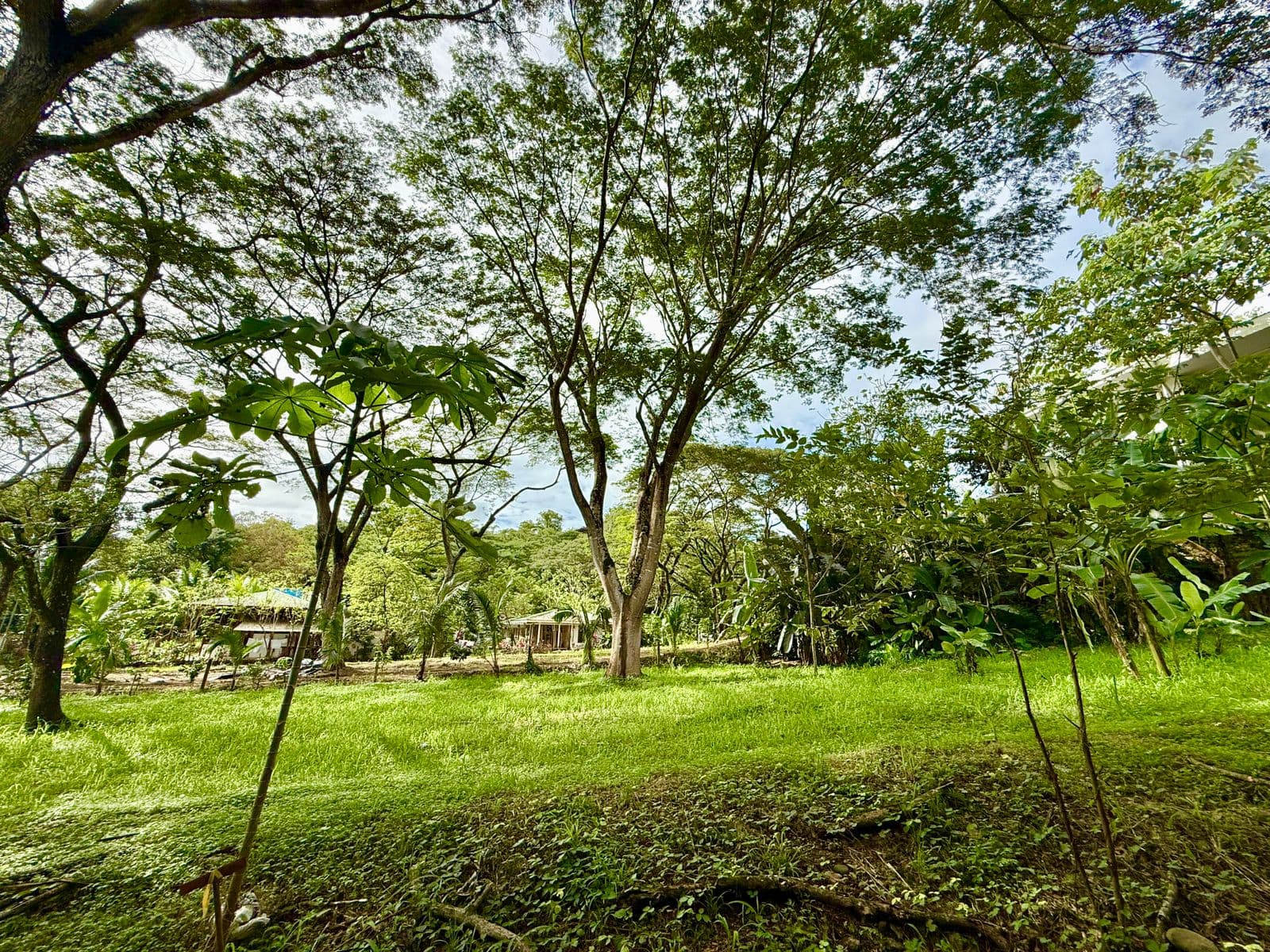 Jungle Haven Lot in Jaco, photo 2