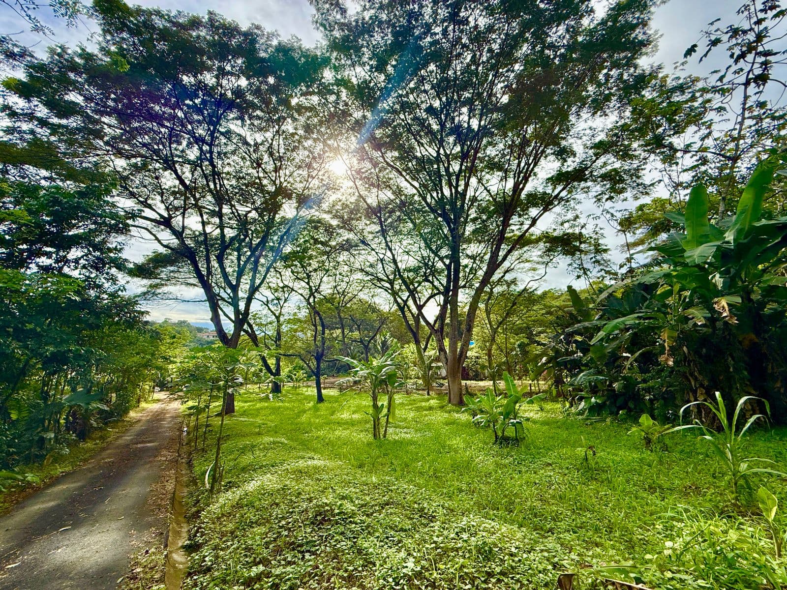 Jungle Haven Lot in Jaco, photo 3