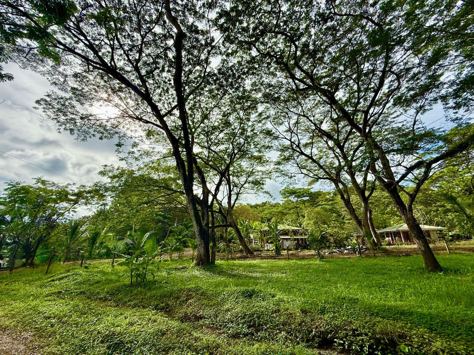 Jungle Haven Lot in Jaco, photo 4