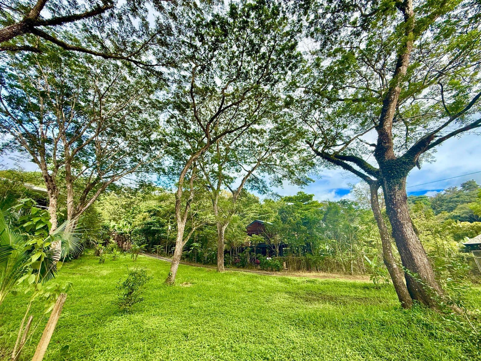 Jungle Haven Lot in Jaco, photo 7