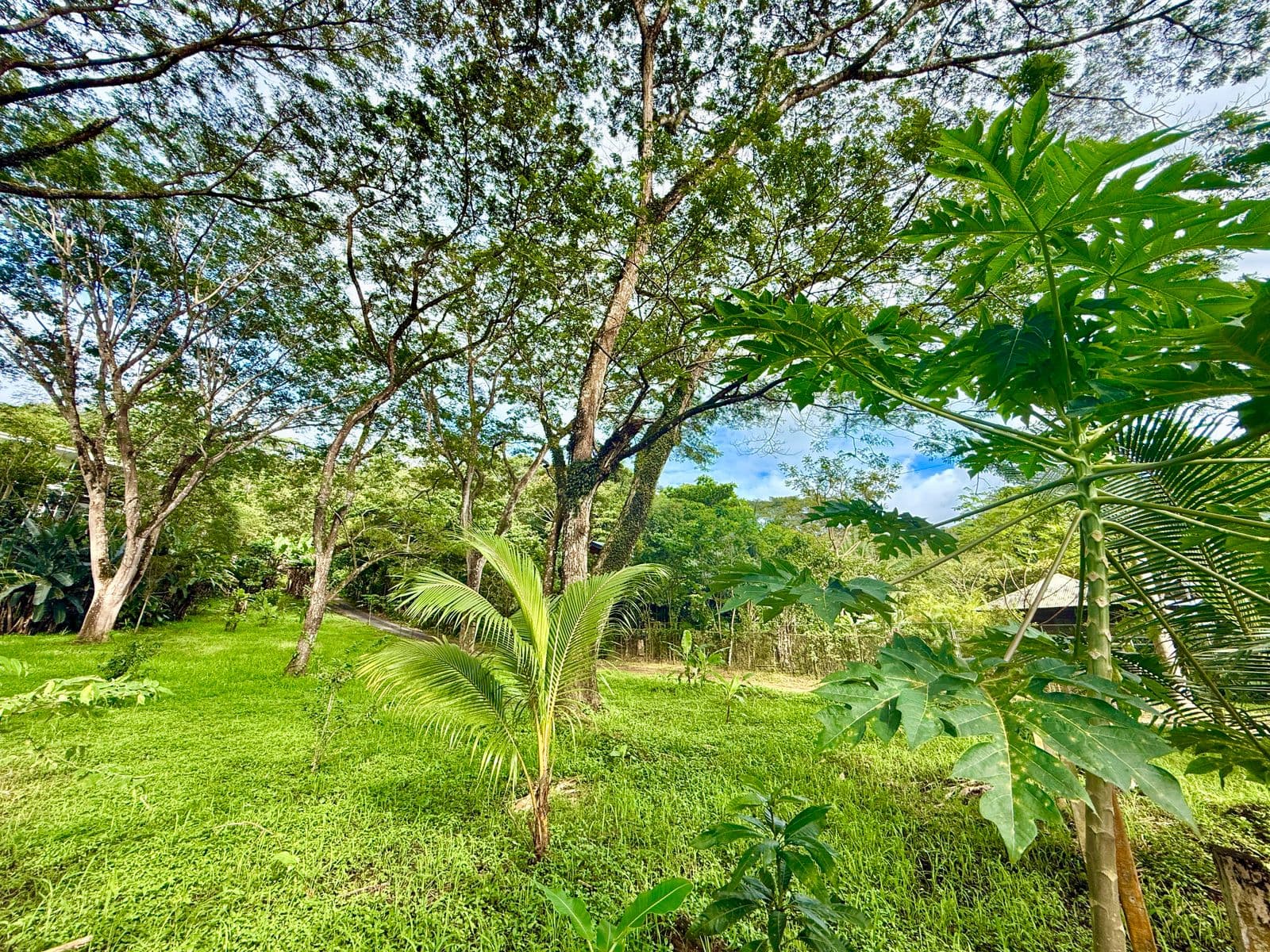 Jungle Haven Lot in Jaco, photo 8