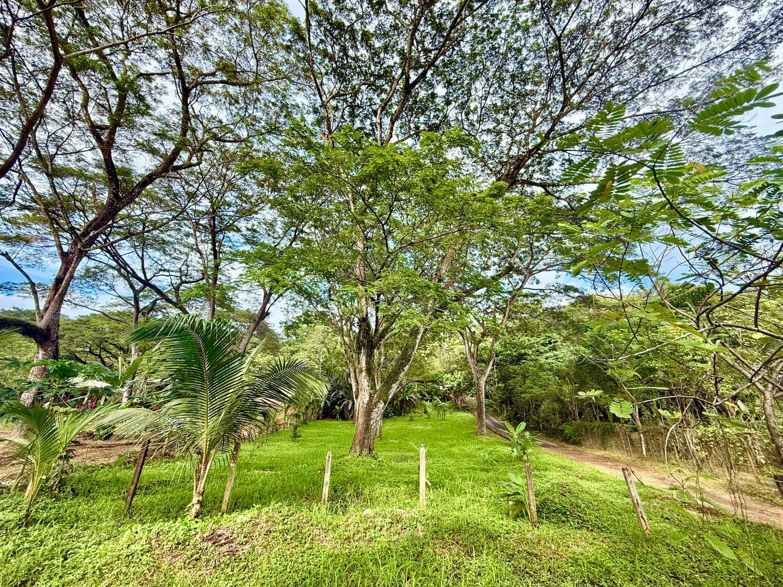 Jungle Haven Lot in Jaco, photo 9