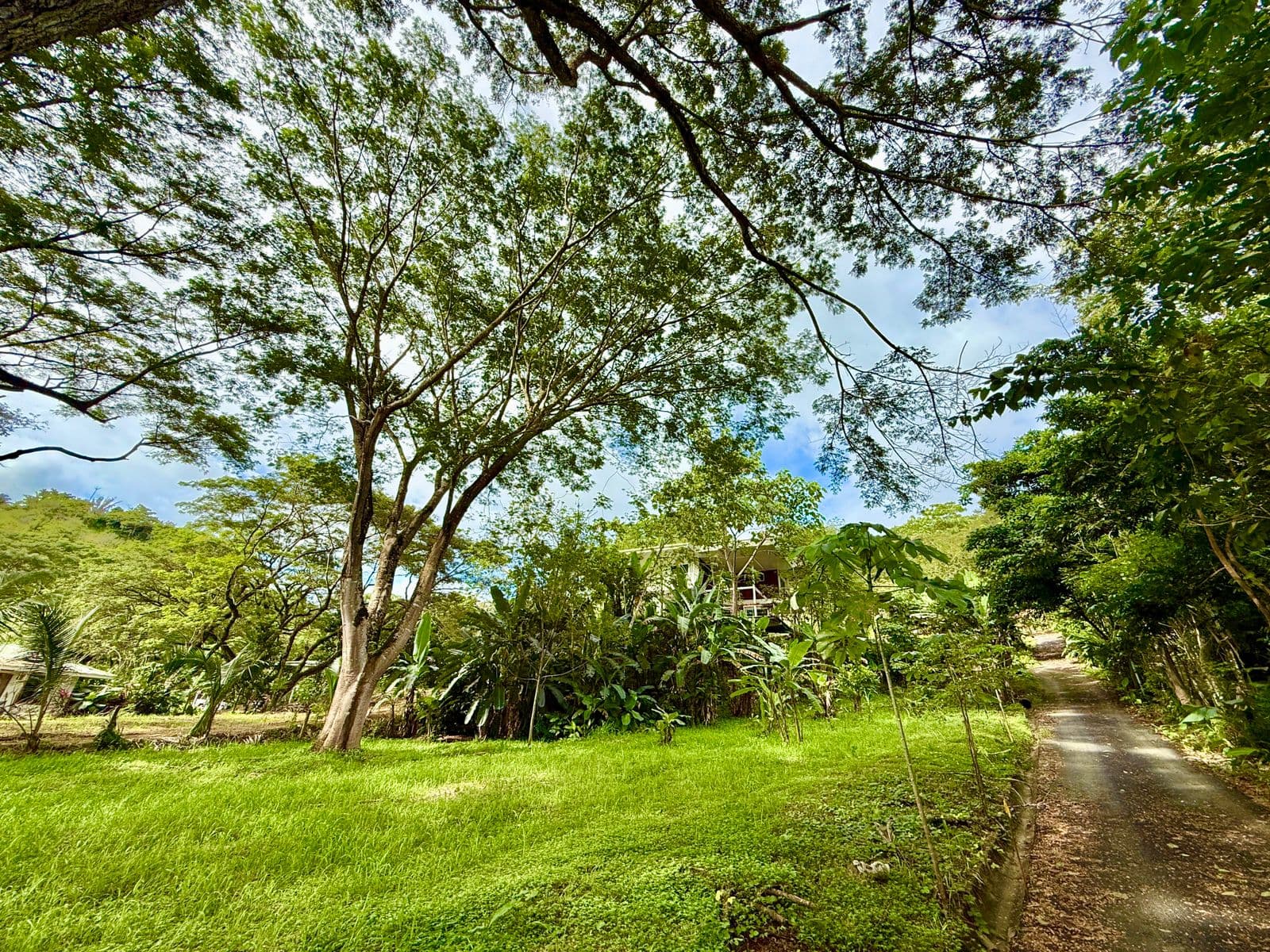 Jungle Haven Lot in Jaco, photo 11
