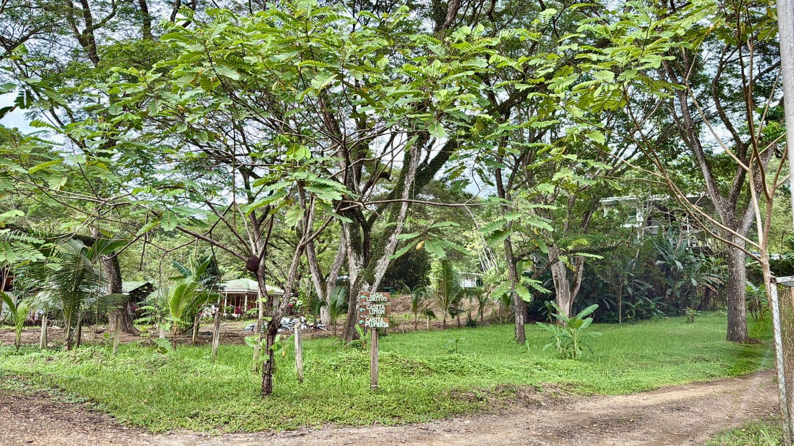 Jungle Haven Lot in Jaco, photo 12