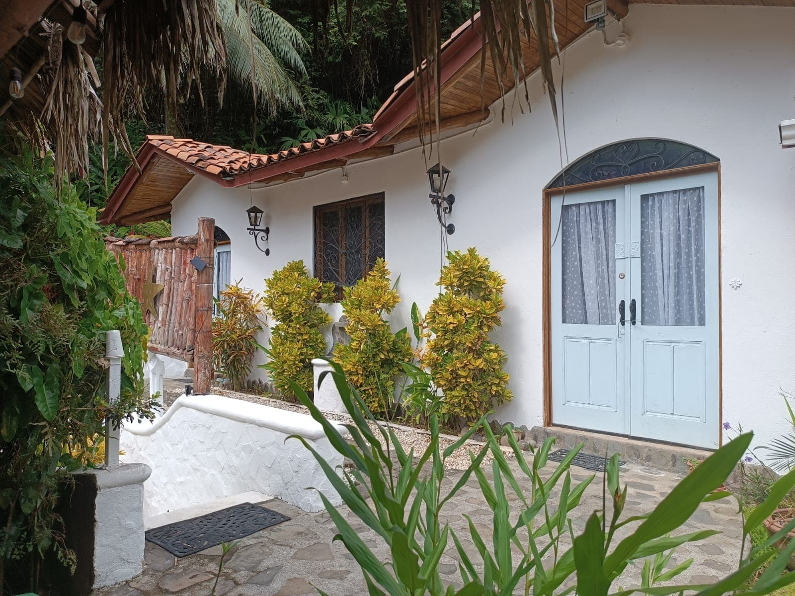 Tropical Retreat, photo 3