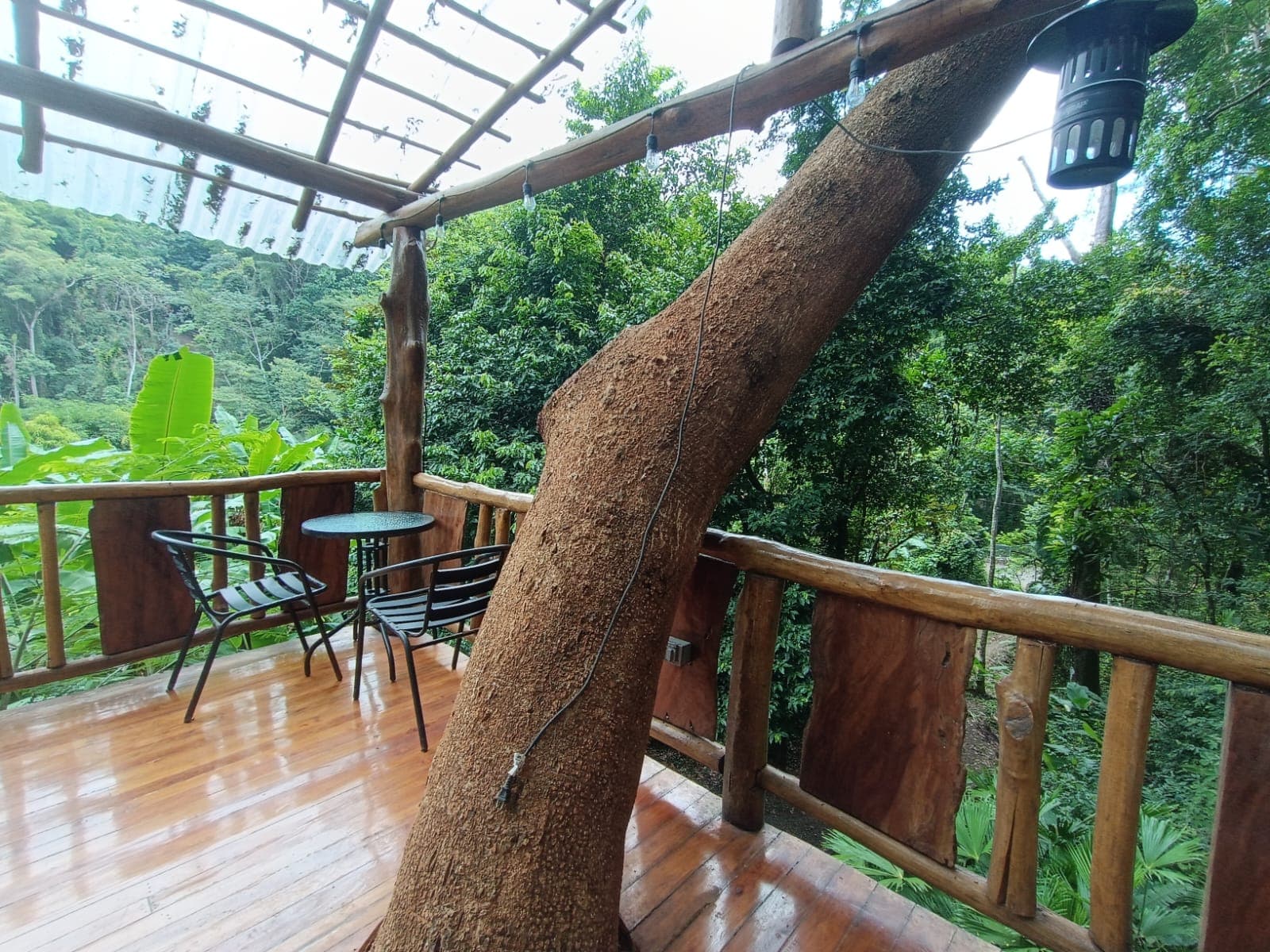 Tropical Retreat, photo 5