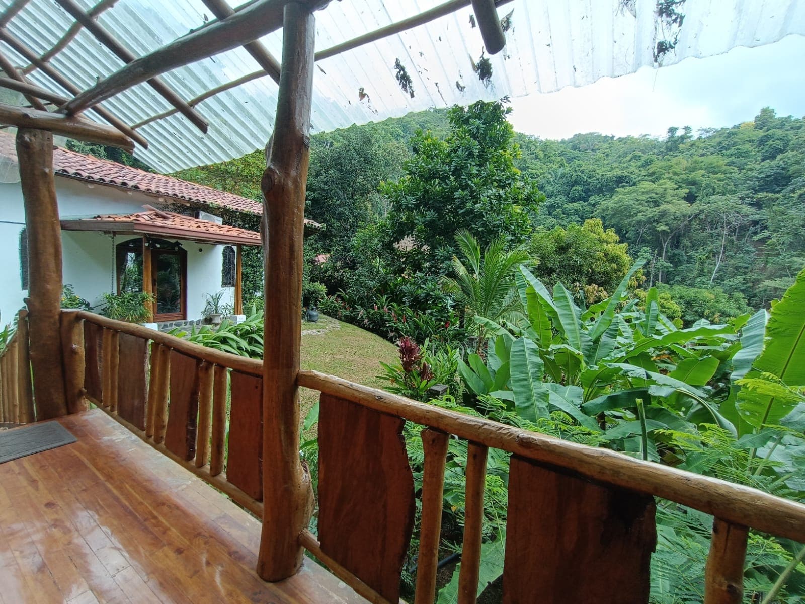 Tropical Retreat, photo 7