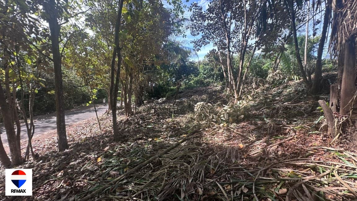 Costa Esterillos | Premium 2,200 m² Lot, photo 11