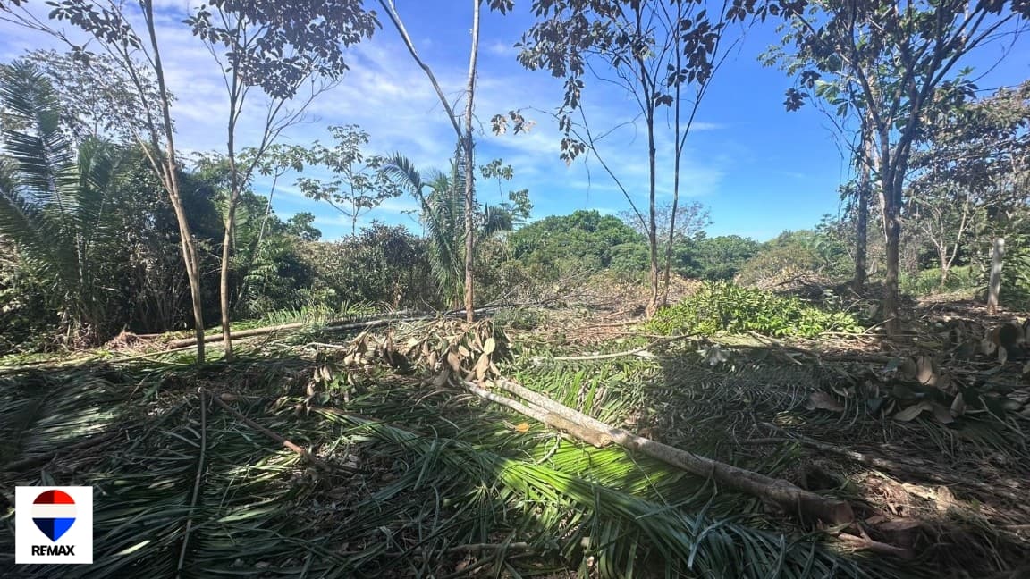 Costa Esterillos | Premium 2,200 m² Lot, photo 13