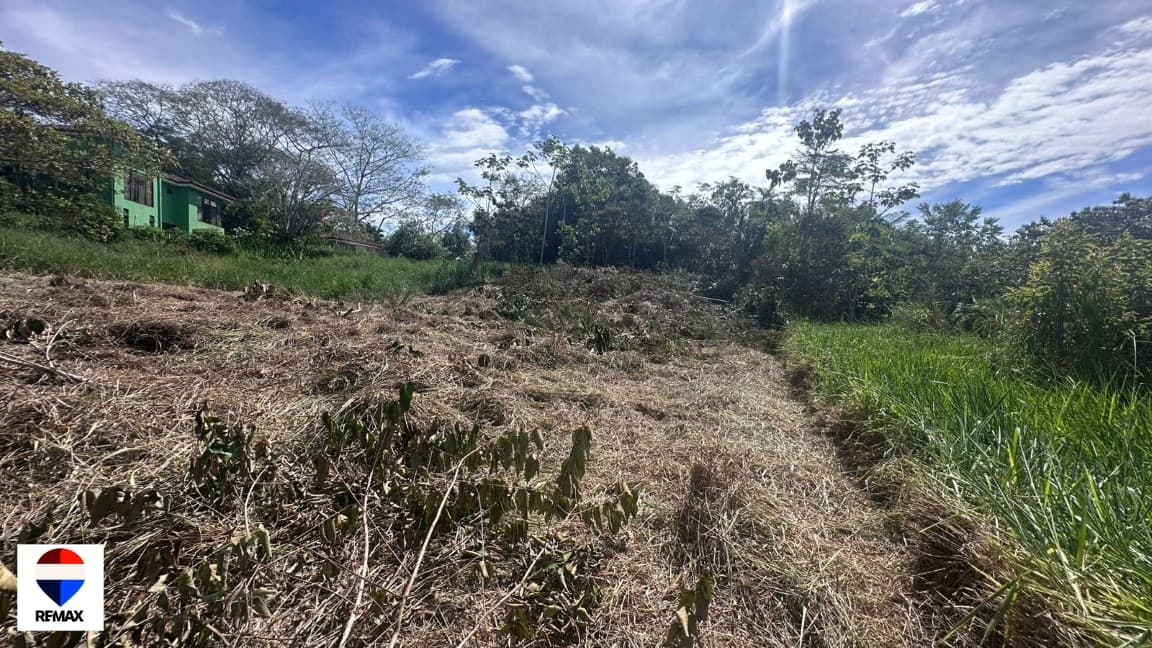 Costa Esterillos | Premium 2,200 m² Lot, photo 17