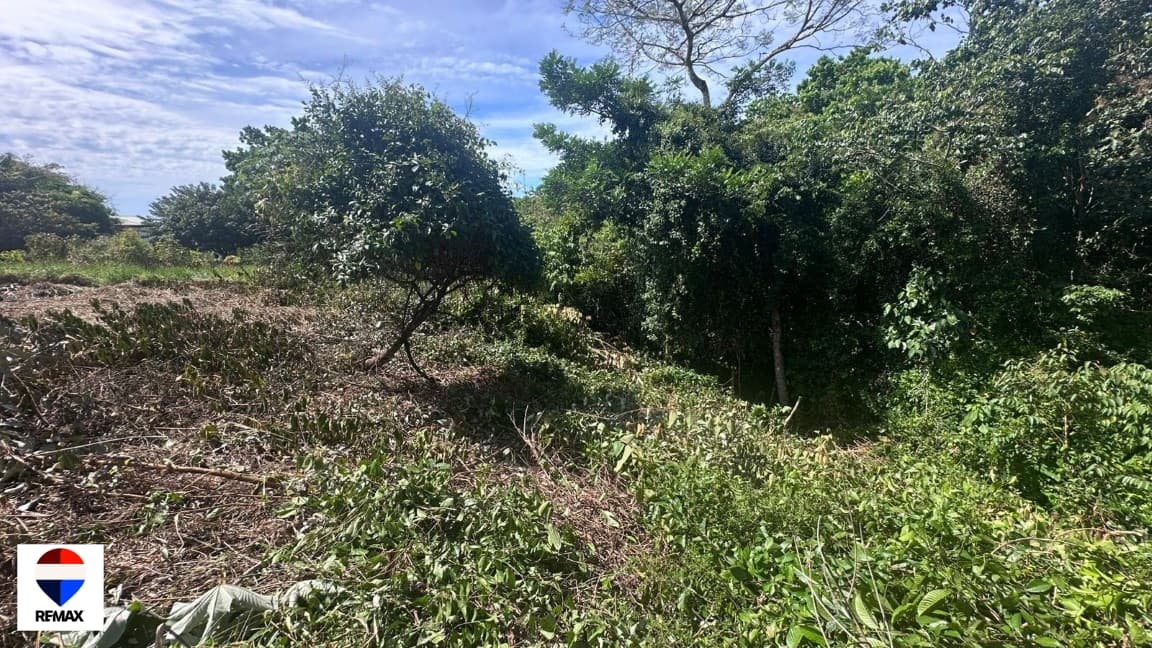 Costa Esterillos | Premium 2,200 m² Lot, photo 19