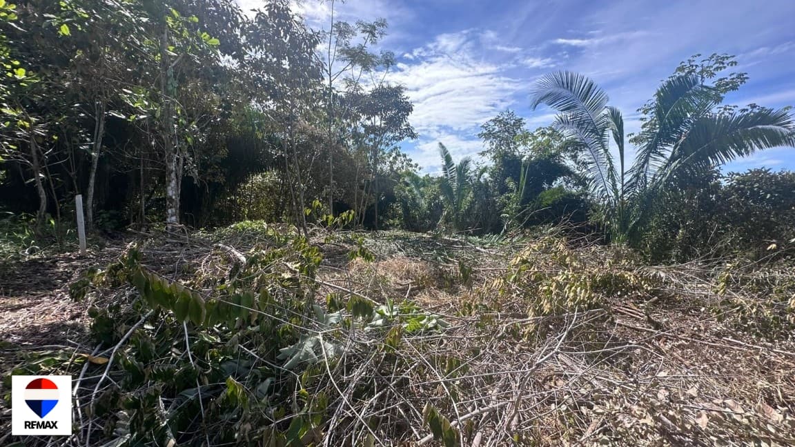 Costa Esterillos | Premium 2,200 m² Lot, photo 24