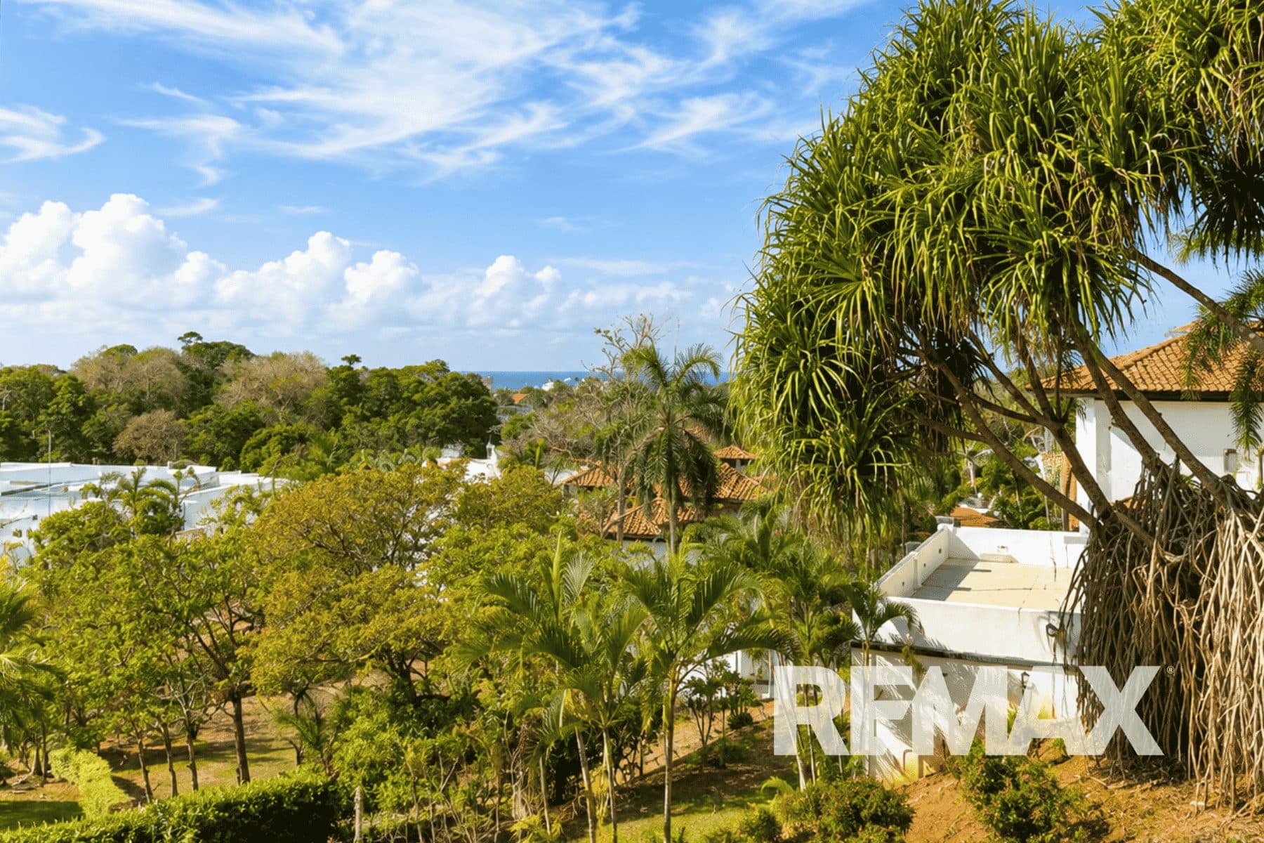 Remodeled ocean view Del Pacifico Condo, photo 4