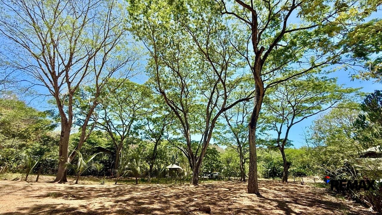 Large Ready-to-Build Lot in Jaco, photo 5