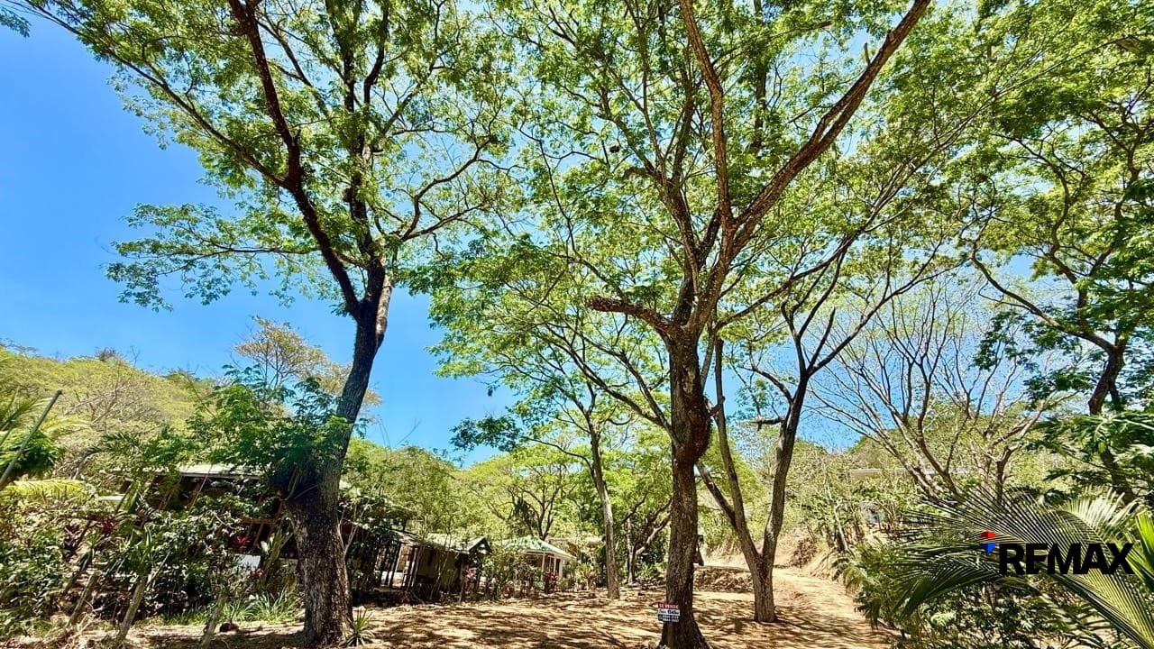 Large Ready-to-Build Lot in Jaco, photo 7