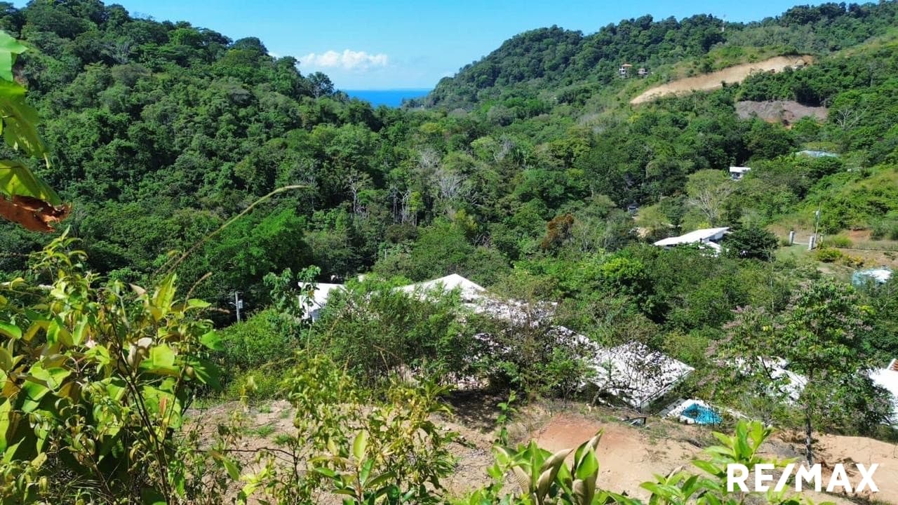 Gated Hillside Oceanview Lot, photo 9