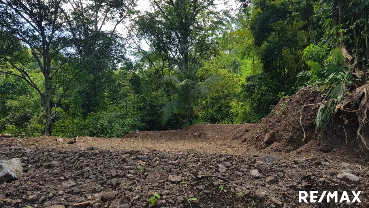Riverfront lot near Jaco, photo 5