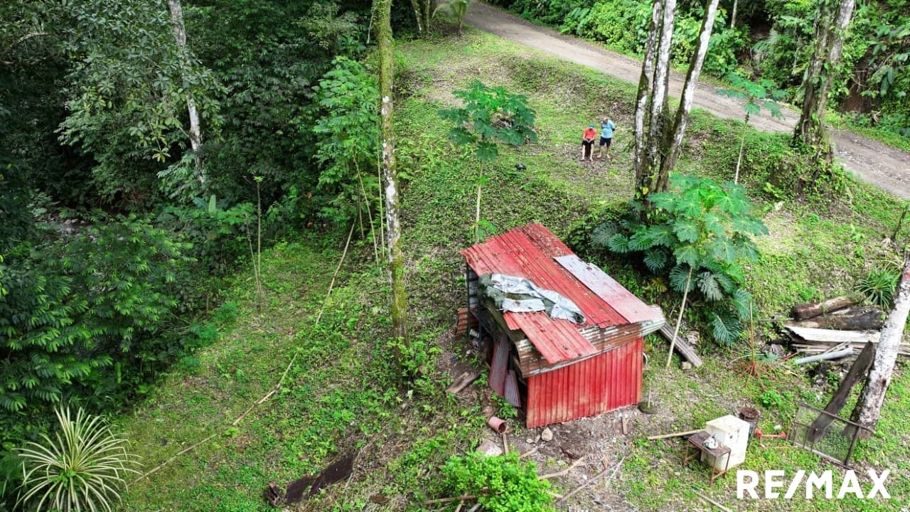 Riverfront lot near Jaco, photo 6