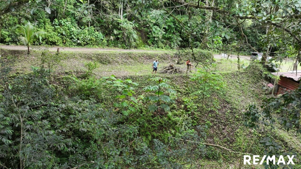 Riverfront lot near Jaco, photo 7
