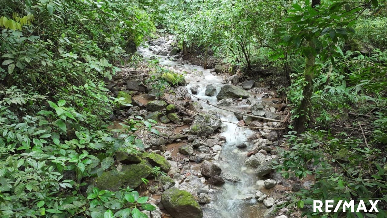 Riverfront lot near Jaco, photo 8